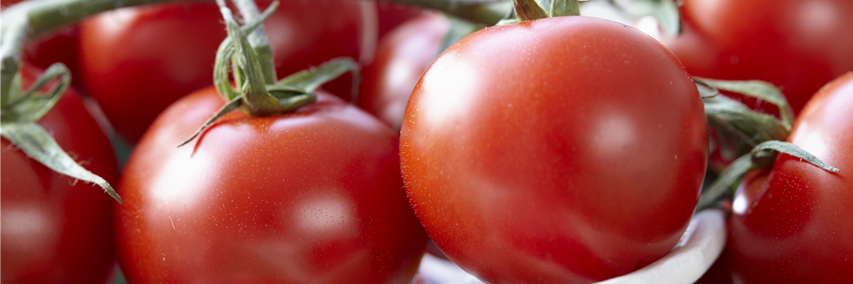 Tomaten, Peperoni und Gewürze