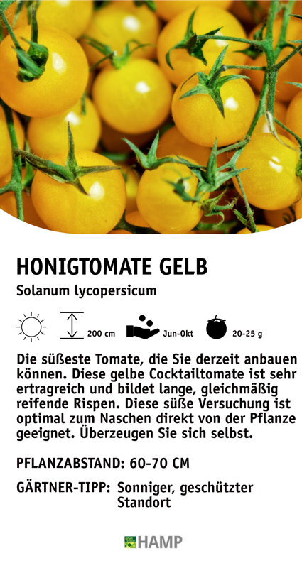 Honigtomate Gelb (1).jpeg