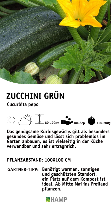 Zucchini.jpeg