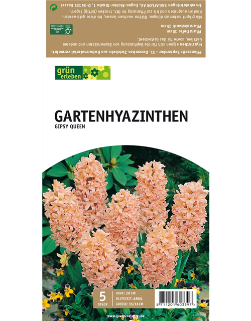 Gartenhyazinthen