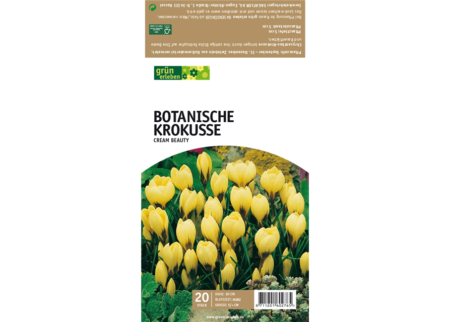 Botanische Krokusse