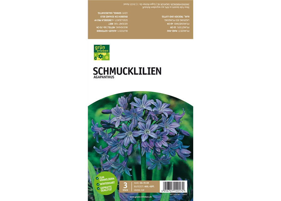 Schmucklilien