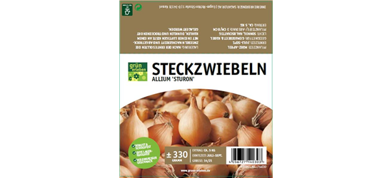 Steckzwiebeln