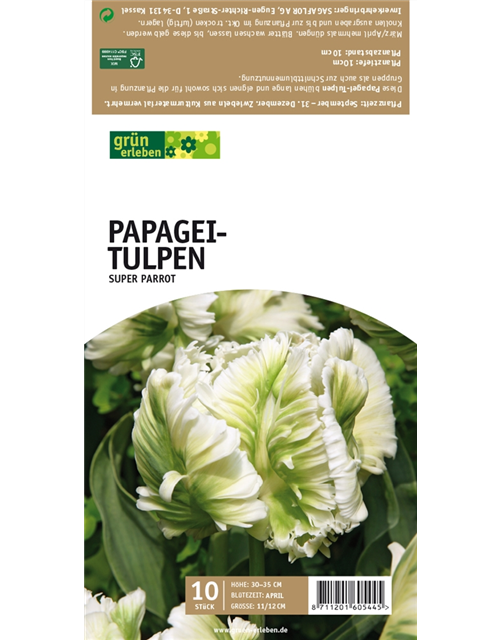 Papagei-Tulpen