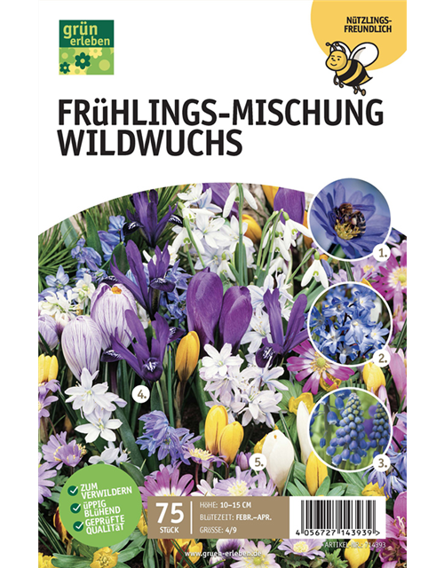 Frühlingswiese