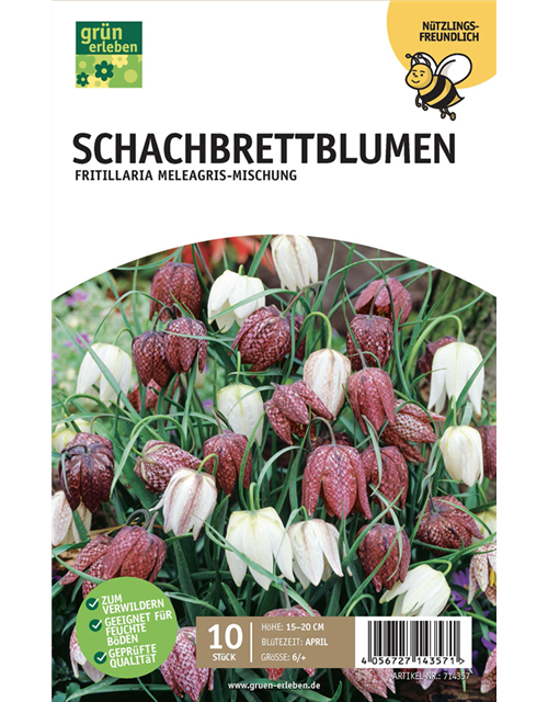 Schachbrettblumen