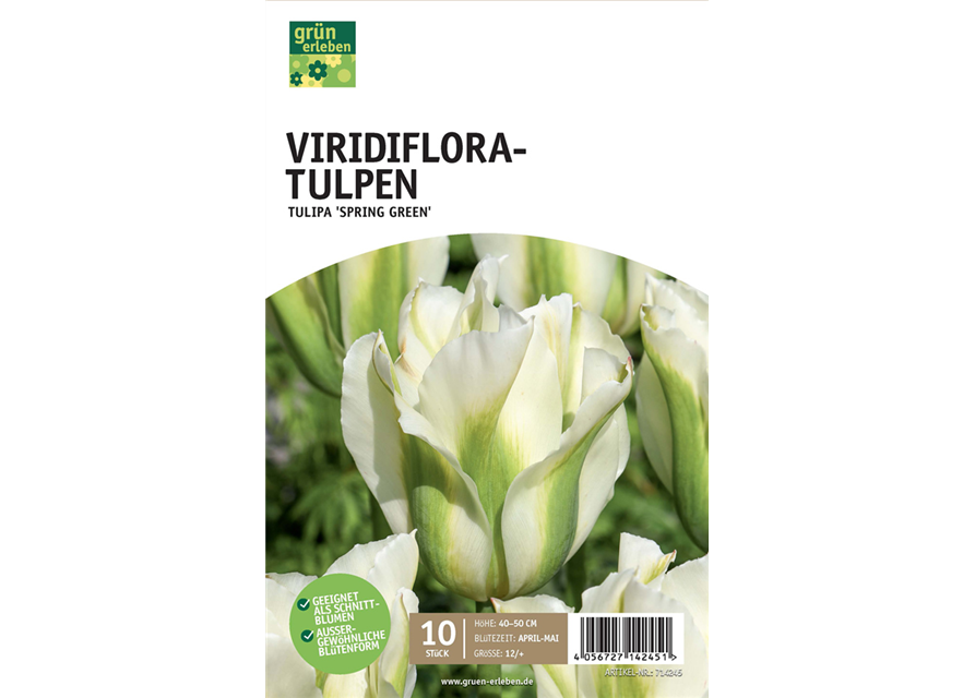 Viridiflora-Tulpen