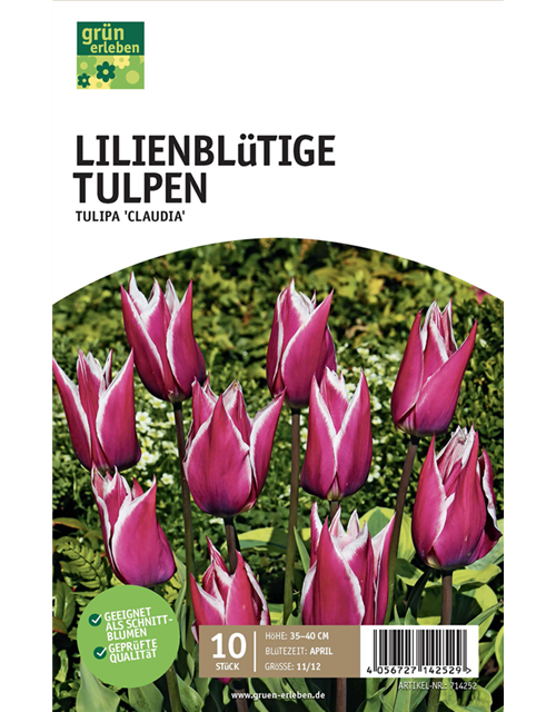 Lilienblütige Tulpen